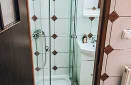 Garsoniera, 27 mp, gradina, zona Piata Cipariu 