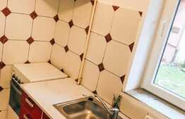 Garsoniera, 27 mp, gradina, zona Piata Cipariu 