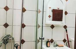 Garsoniera, 27 mp, gradina, zona Piata Cipariu 