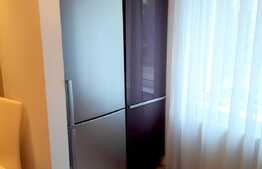 Apartament 2 camere, 53 mp, decomandat, mobilat modern, zona strazii Lunii