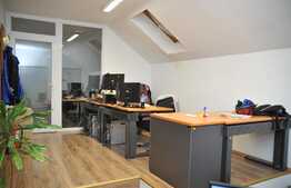 Casa individuala, 328 mp, 400 mp teren, ideal pentru clinica sau birou firma!