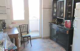 Apartament 4 camere, 105 mp, gradina de 54 mp, boxa, garaj, zona Piata Engels 