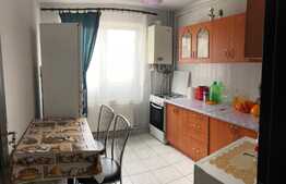 Apartament 1 camera, 25 mp, mobilat si utilat, zona strazii Mehedinti
