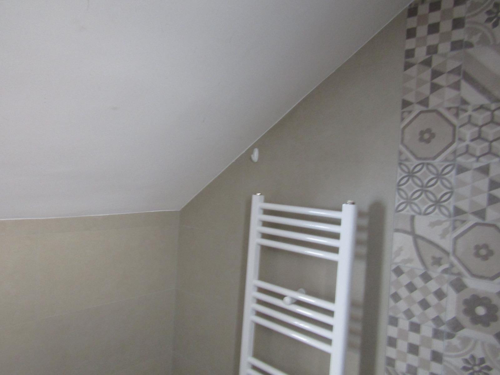 Casa de vânzare 4 camere Borhanci - 36549CV | BLITZ Cluj-Napoca | Poza5