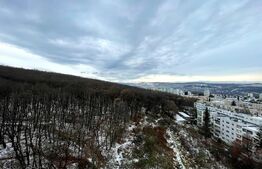 Garsoniera, 28mp, zona strazii Parang