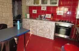 Apartament in casa, 72 mp, terasa, gradina 400mp, spatiu depozitare 120mp, zona strazii Doinei