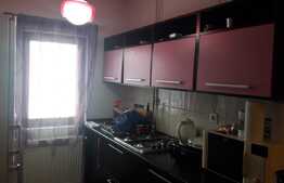 Apartament 2 camere, cochet, 50 mp, parcare, terasa, zona strazii Lombului