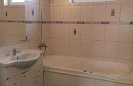 Casa 5 camere, 180 mp, teren 250mp, mobilat si utilat, zona strazii Traian Vuia