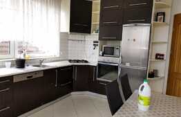 Casa 5 camere, 180 mp, teren 250mp, mobilat si utilat, zona strazii Traian Vuia