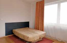 Casa 5 camere, 180 mp, teren 250mp, mobilat si utilat, zona strazii Traian Vuia