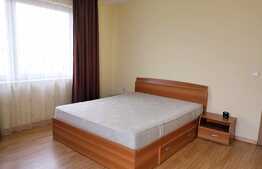 Casa 5 camere, 180 mp, teren 250mp, mobilat si utilat, zona strazii Traian Vuia