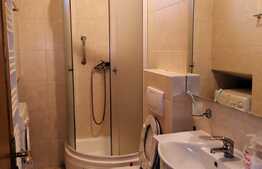 Casa 5 camere, 180 mp, teren 250mp, mobilat si utilat, zona strazii Traian Vuia