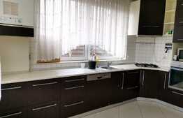 Casa 5 camere, 180 mp, teren 250mp, mobilat si utilat, zona strazii Traian Vuia