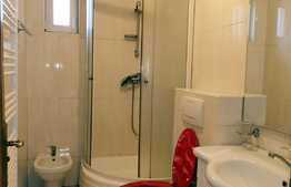 Casa 5 camere, 180 mp, teren 250mp, mobilat si utilat, zona strazii Traian Vuia