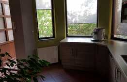 Casa 200 mp, 6 camere, 2 parcari, gradina amenajata, zona strazii Donath