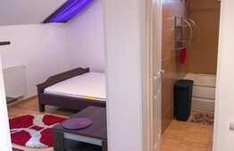 Apartament 1 camera, mobilat si utilat, zona strazii Gheorghe Dima
