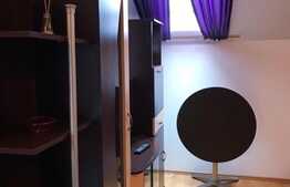 Apartament 1 camera, mobilat si utilat, zona strazii Gheorghe Dima