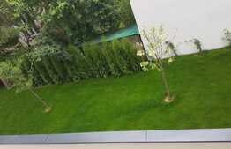 Breaking news! Apartament 2 camere, 52 mp, terasa de 12 mp, zona strazii Paris