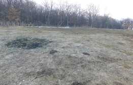 Vrei sa scapi de birocratie?