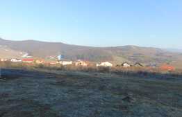 Vrei sa scapi de birocratie?