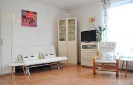 Apartament 1 camera, 38 mp, garaj, Pet Friendly, mobilat modern, zona Golden Tulip