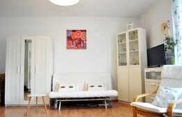 Apartament 1 camera, 38 mp, garaj, Pet Friendly, mobilat modern, zona Golden Tulip