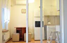 Apartament 1 camera, 38 mp, garaj, Pet Friendly, mobilat modern, zona Golden Tulip