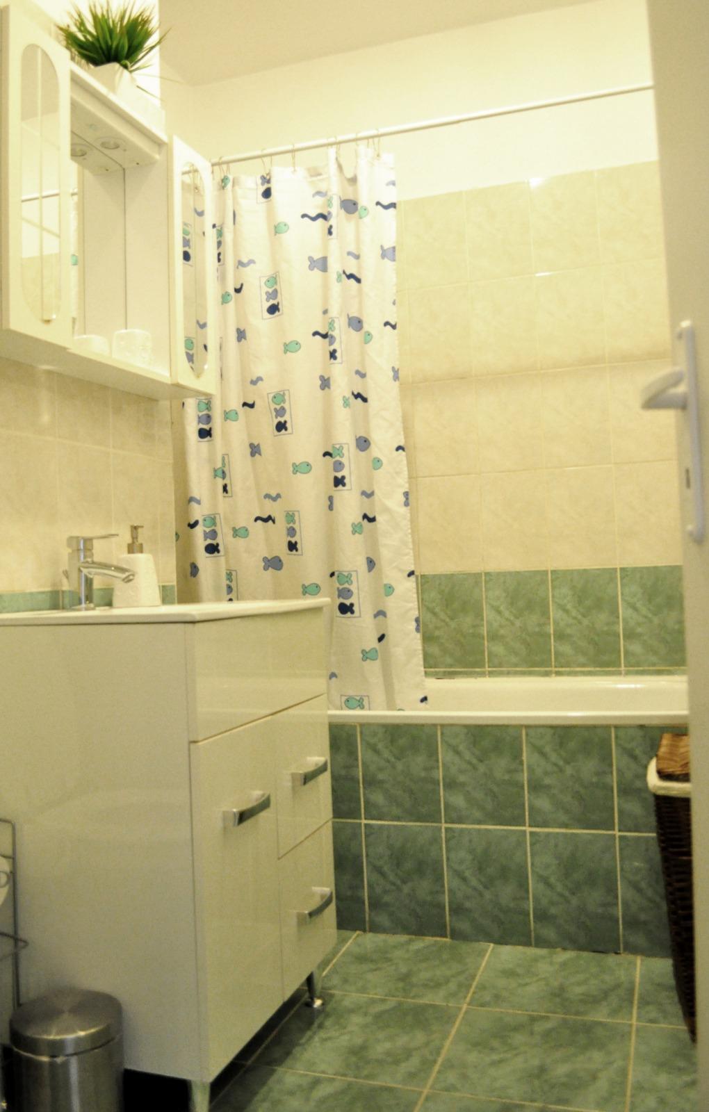 Garsonieră de închiriat Zorilor - 36621AI | BLITZ Cluj-Napoca | Poza9