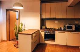 2 camere, 55 mp, garaj, pet friendly, imobil nou, zona Hotel Gala 