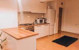 2 camere, 55 mp, garaj, pet friendly, imobil nou, zona Hotel Gala 