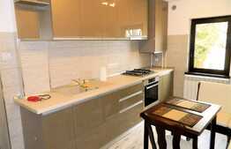 Apartament 2 camere, 50 mp, Pet Friendly, mobilat modern, prima inchiriere, zona Big