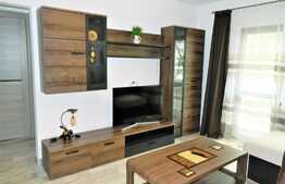 Apartament 2 camere, 50 mp, Pet Friendly, mobilat modern, prima inchiriere, zona Big