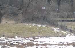 Teren cu autorizatie de duplex!