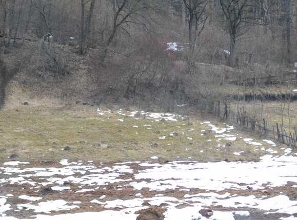 Teren de vânzare Floreşti - 36636TV | BLITZ Cluj-Napoca | Poza2
