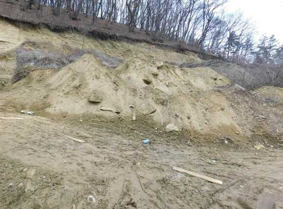 Teren de vânzare Floreşti - 36639TV | BLITZ Cluj-Napoca | Poza1