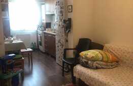 Apartament cu 1 camera, decomandat, 48 mp, finisat, parcare! Zona strazii Stejarului ! 
