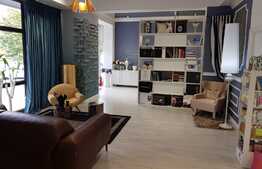 Spatiu comercial cu vitrina generoasa