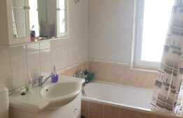 Apartament 2 camere, cu gradina de 48 mp, zona Eroilor!