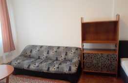 Garsoniera, decomandata, 42 mp, Pet Friendly, zona strazii Baisoara