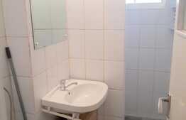 Garsoniera, decomandata, 42 mp, Pet Friendly, zona strazii Baisoara