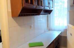 Garsoniera, decomandata, 42 mp, Pet Friendly, zona strazii Baisoara