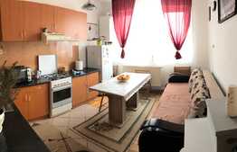 Apartament 1 camera cu suprafata generoasa, 42 mp, etaj intermediar, zona Parc Logistic