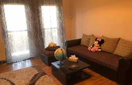 2 camere, 52 mp, decomandat, Zona Muzeul Apei! 