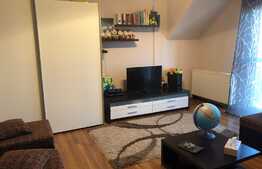 2 camere, 52 mp, decomandat, Zona Muzeul Apei! 