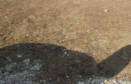 Teren cu Proiect Autorizat de duplex, in curs de elaborare