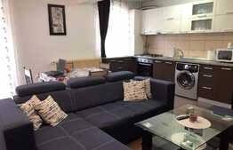 Apartament de vanzare, 2 camere, TOTUL NOU, 44 mp, Zona Florilor ! 