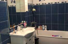 Apartament de vanzare, 2 camere, TOTUL NOU, 44 mp, Zona Florilor ! 