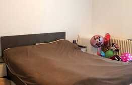 Apartament de vanzare, 2 camere, TOTUL NOU, 44 mp, Zona Florilor ! 