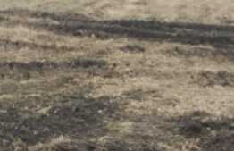 Teren pentru constructie de blocuri