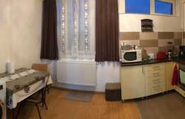 Apartament 1 camera, 30 mp, complet mobilat si utilat, zona Aleea Detunata